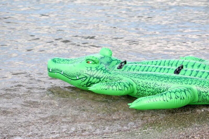 Какой крокодил зеленый. Зеленый крокодил. Крокодил в воде. Крокодил из воды. Крокодил зеленый в воде.