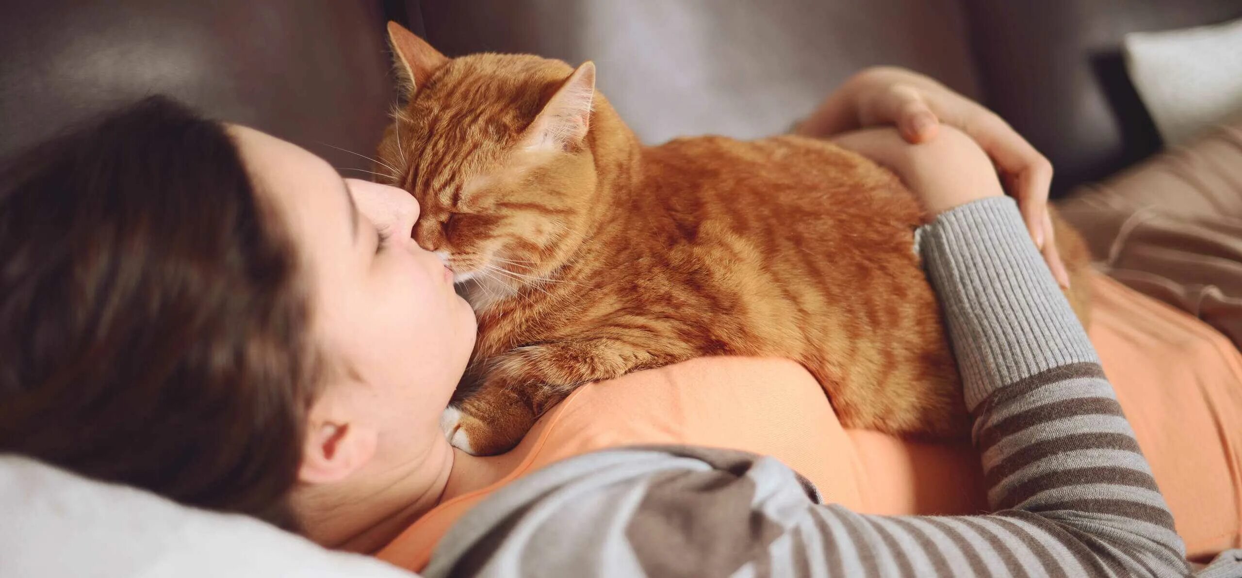 Почему кошки спят со мной. Кот объятия. Кот обнимашки. Девушка с рыжим котом. Кот обнимает человека.