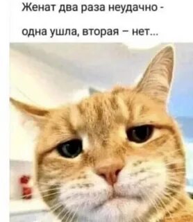 i?id=f9210d8f08be7bf1114a94a202c706e0c14e7b24-9227708-images-thumbs&n=13
