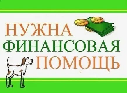 Нужна финансовая