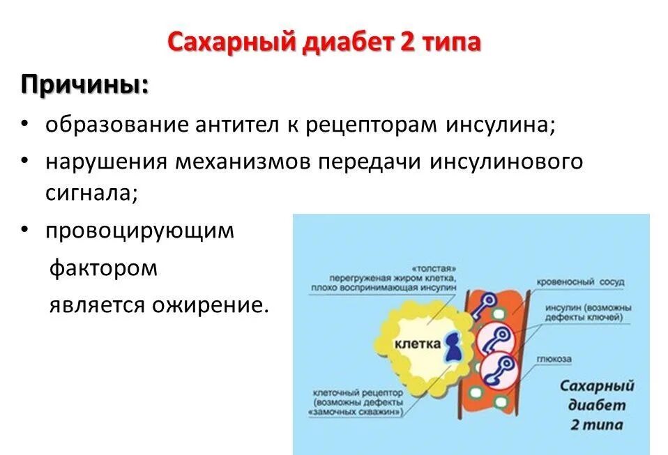 Сахарный диабет 2 типа виды. Причины развития сахарного диабета 2 типа. Причины сахарного диабета 2 типа является. Причины СД 2 типа. Факторы возникновения сахарного диабета 2 типа.