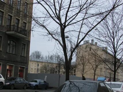 Малодетскосельский просп