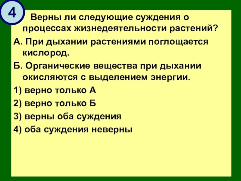 Верны ли следующие суждения водоросли дышат кислородом