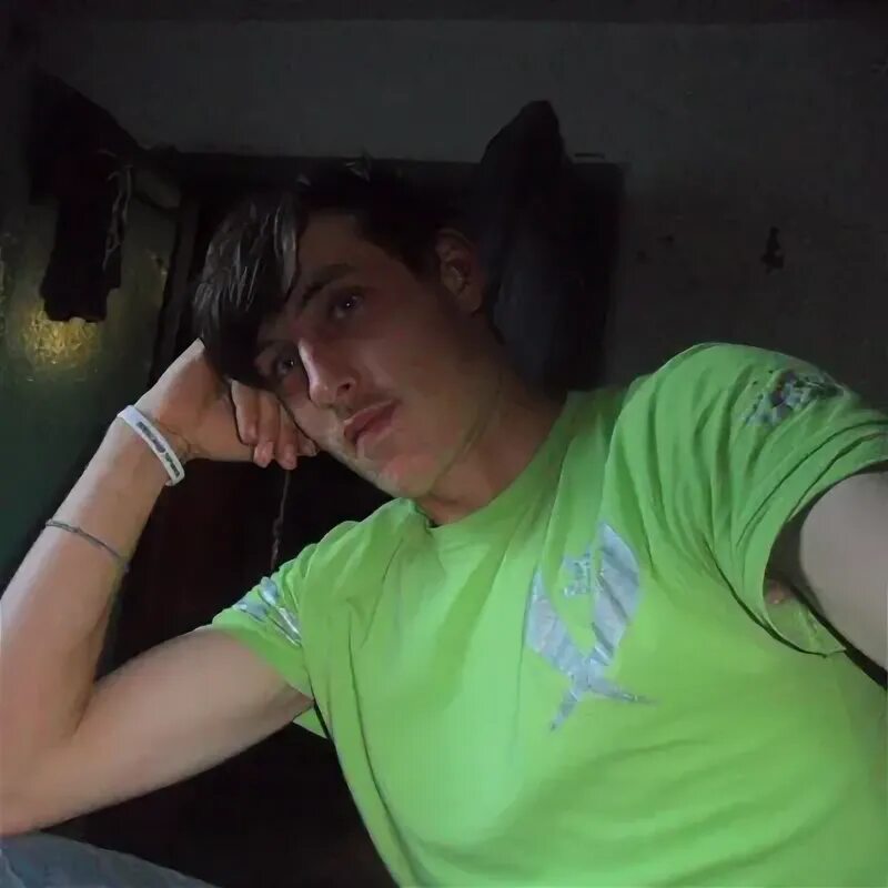 Дикие приключения ника. Ник и дик. Зверополис 2 часть. Дикий ник. Ника дикая.