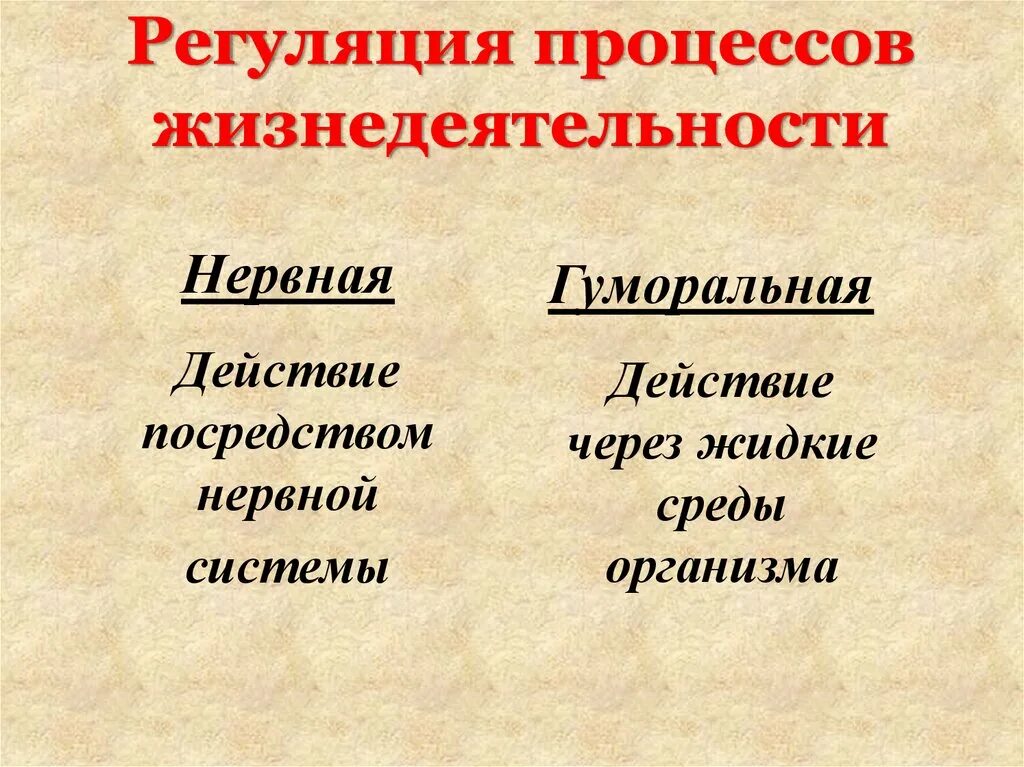 Ментальная регуляция. Ментальная регуляция