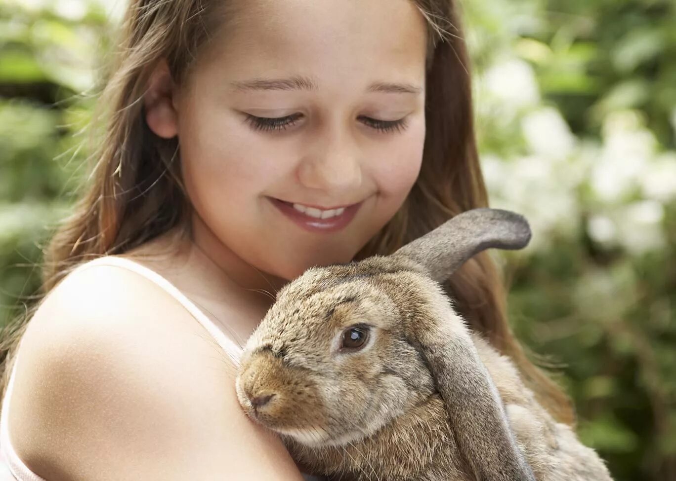 I a pet rabbit. Кролик. Кролик на руках у человека. Кролик домашний. Карликовый кролик.