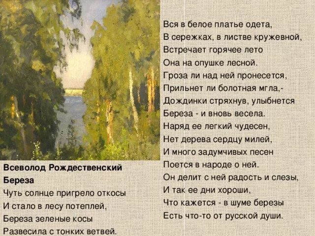 В родной поэзии совсем. Стих берёза Рождественский. Рождественская берёза стих.