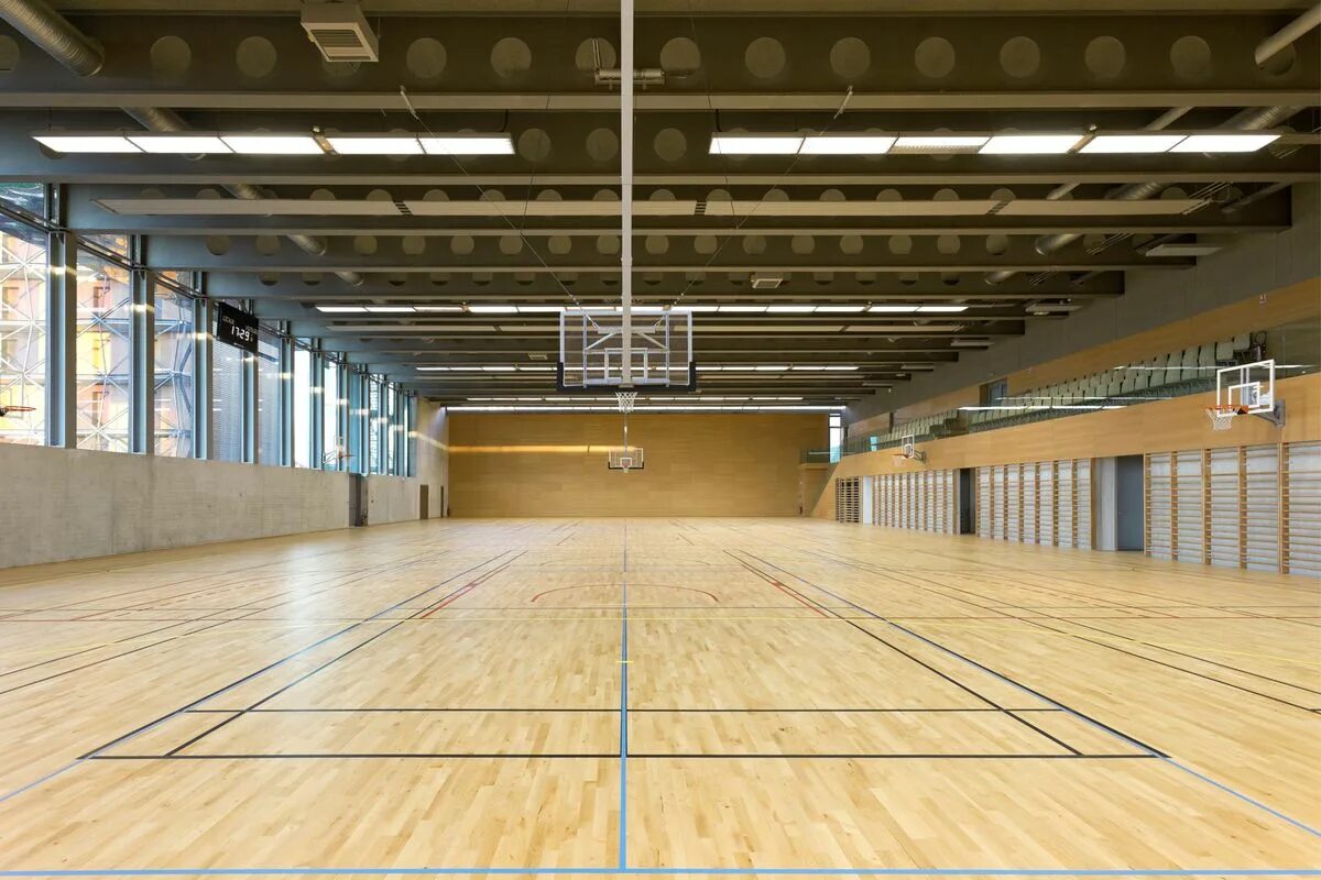 Баскетбольный зал. Спорт центр архитектура. Basketball Sport Hall. Sport hall