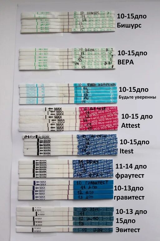 На 10 день после зачатия тест покажет. Тест после зачатия. Тесты после оплодотворения. Тесты на беременность по дням. Тест на беременность после зачатия.
