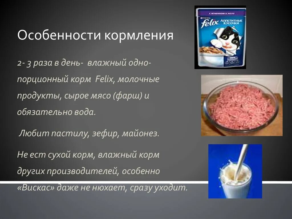 Признаки лактации. Особенности кормления. Особенности кормления производителей кратко. Особенности скармливания кормов. Содержание производителей кратко.