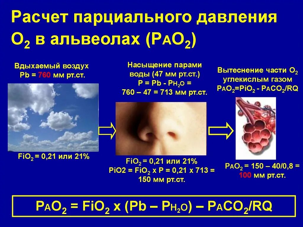 Во вдыхаемом воздухе углекислого газа. Парциальное давление в альвеолах. Парциальное давление углекислого газа. Показатели парциального давления. Парциальное давление кислорода в воздухе.