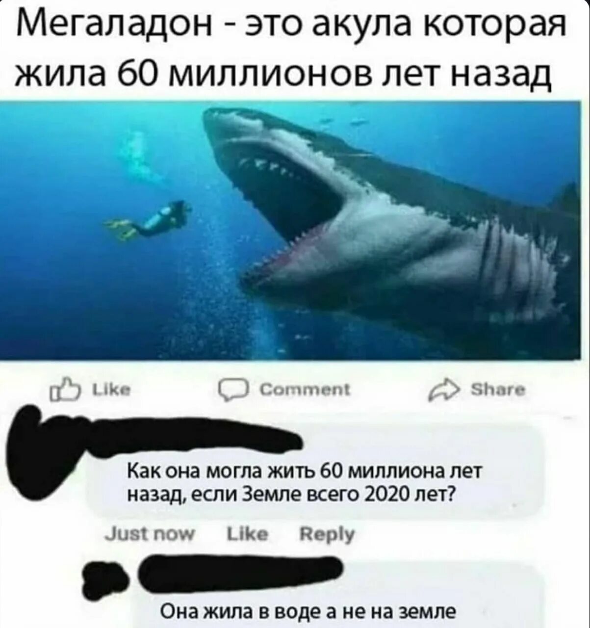 Акула демотиватор. Сколько всего людей было на земле. Богатый человек. Смешной мегалодон. Банковское хранилище с деньгами.