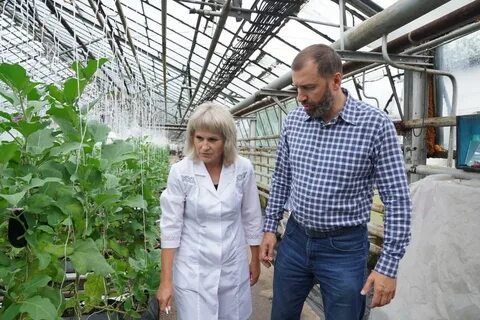 Директор агрофирмы