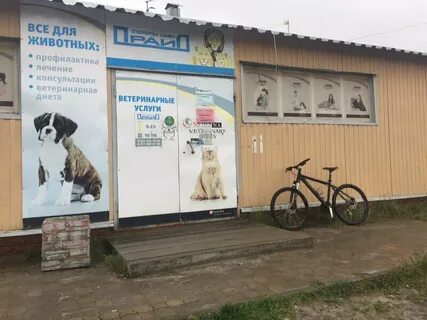 Ветеринарная прайд отзывы