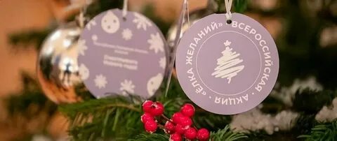 Подать заявку на елку желаний 2024