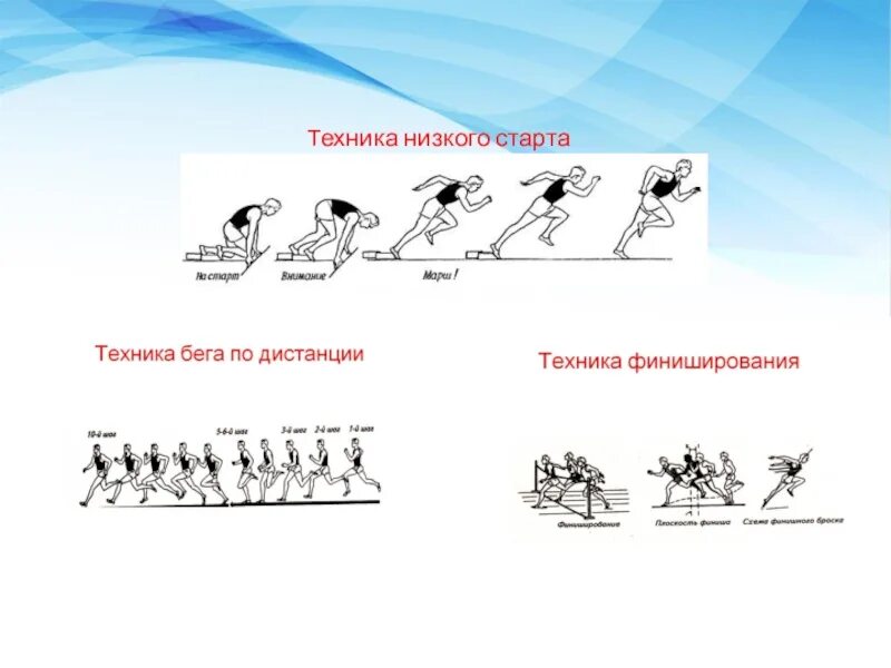 Слышим стартовый сигнал. Техника бега с низкого старта. Низкий старт техника выполнения. Бег с низкого старта. Низкий старт схема.