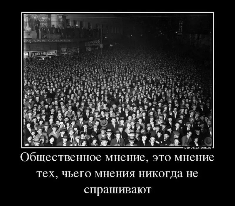 Настоящее общественное мнение. Общественное мнение демотиватор. Общественное мнение эти. Общественное мнение юмор. Фразы про Общественное мнение.