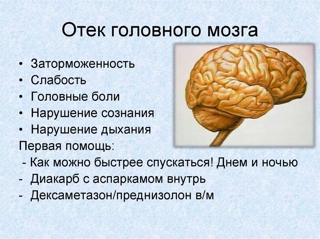 Отек и набухание вещества головного мозга. Отек головного мозга причины.