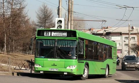 Автобус 95