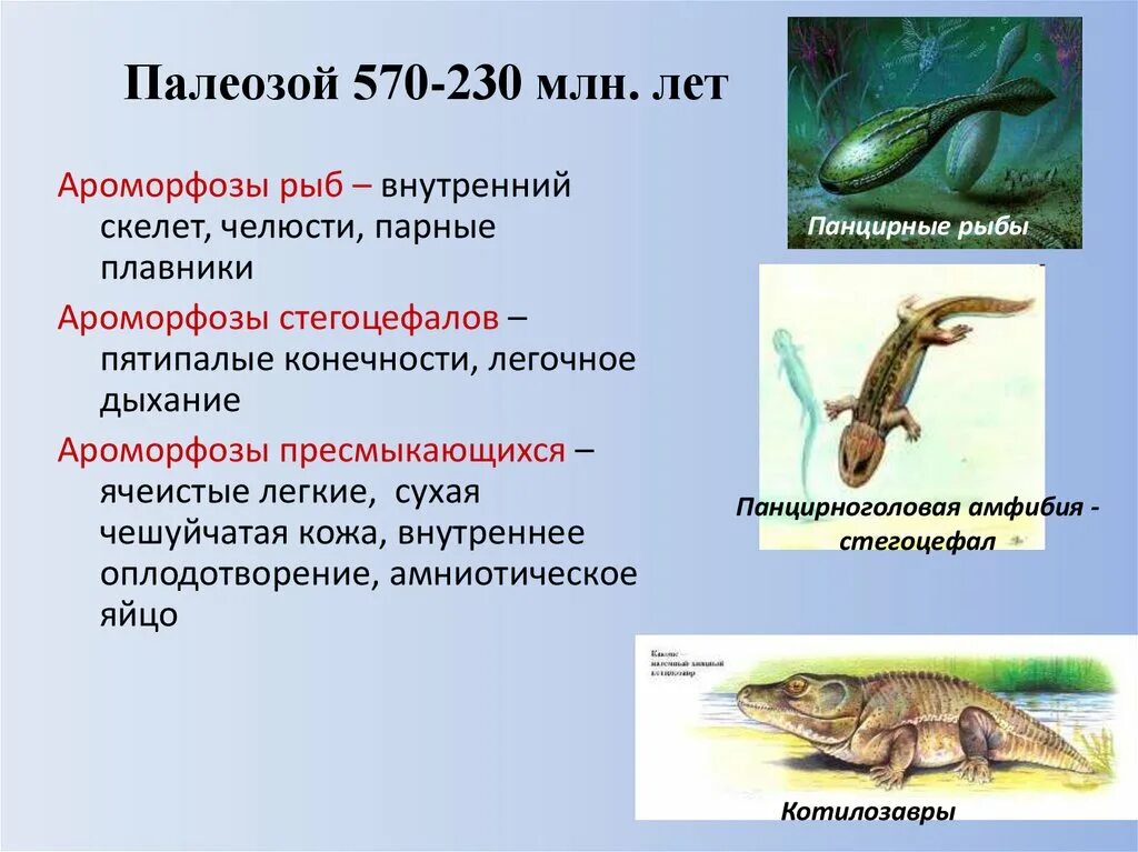 У пресмыкающихся оплодотворение ответы. Ароморфозы рыб. Арофорфозы пресмыкаюших. Амофорзы пресмыкающихся. Ароморфоз примыкающих.