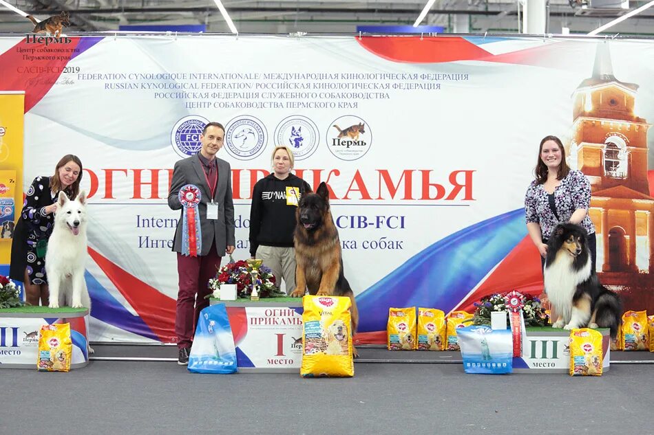 Выставка собак ярославль 2024. Выставка собак Пермь. Пермская ярмарка выставка собак. Международная выставка собак Пермь. Собачьи выставки Пермь.