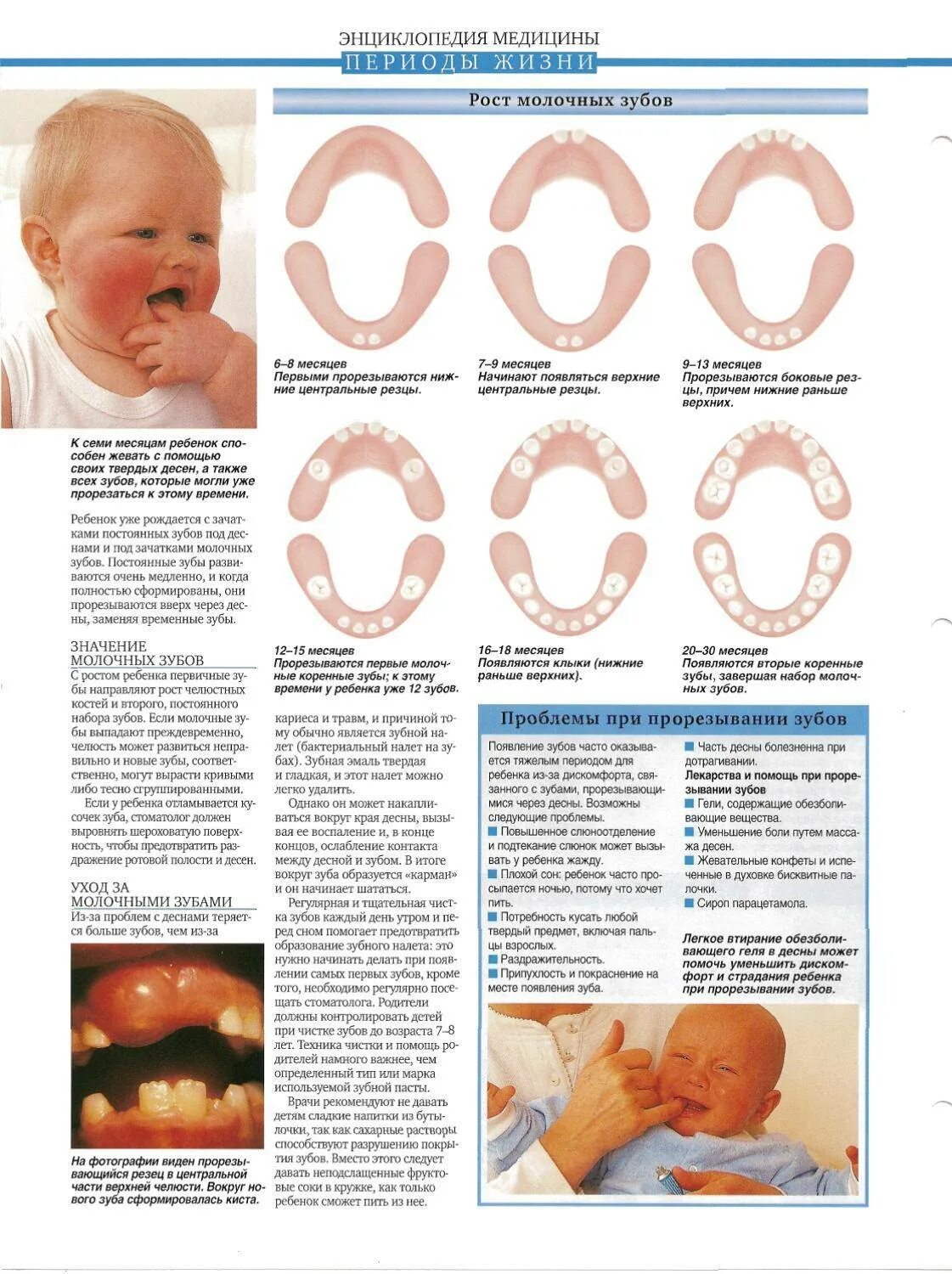 Симптомы при прорезания зубов у детей до года. Прорезывания молочных зубов у детей до года. Прорезываться зуб у ребенка 6 месяцев. Прорезываются зубы у младенца в 9 месяцев. Режутся зубы у ребенка во сколько месяцев