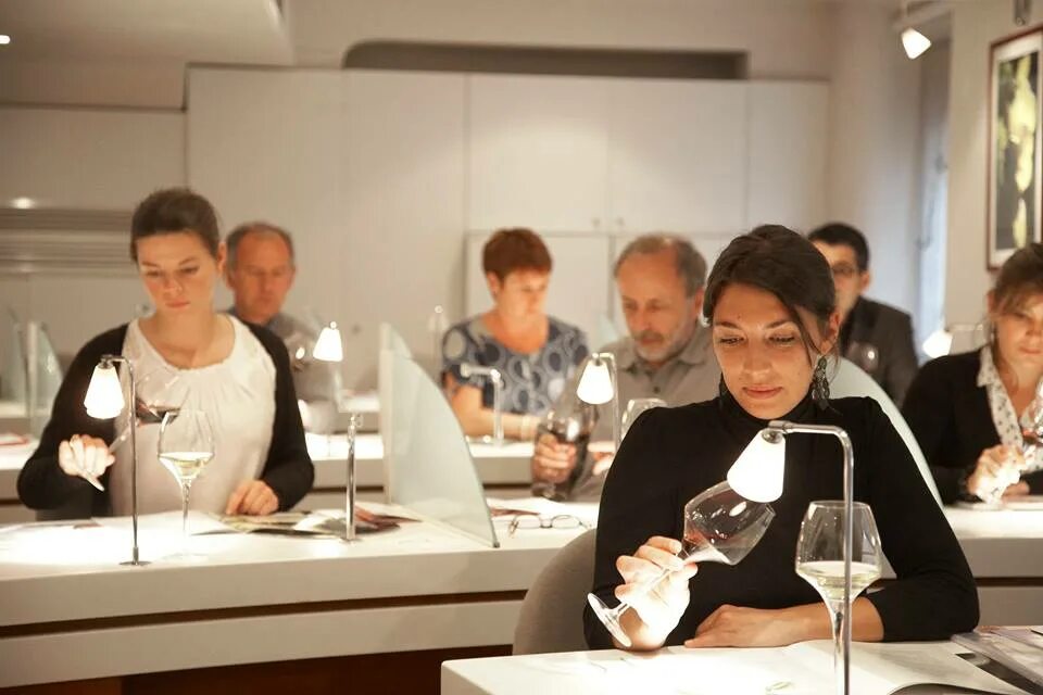 Курсы сомелье. Winding school. Вино юар в бристоле. Школа энотрия москва. Winding school.