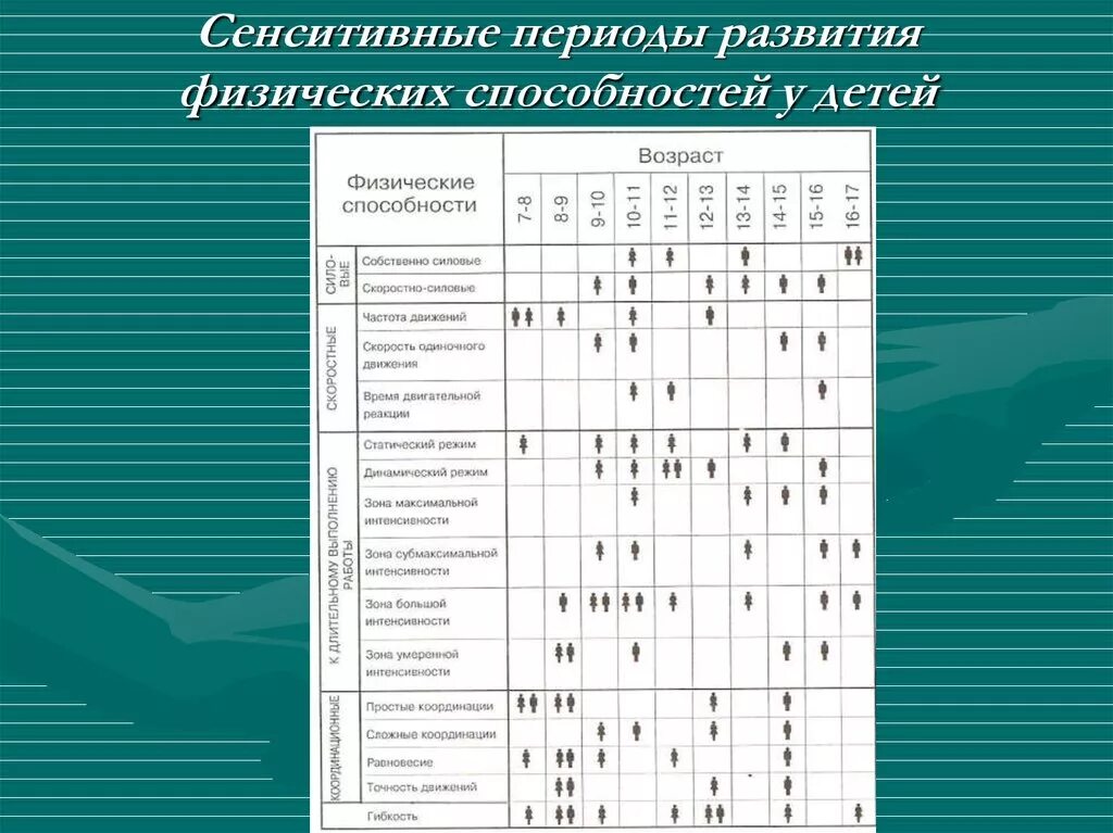 Таблица сенситивных периодов развития физических способностей. Сенситивные периоды развития координационных способностей детей. Таблица"сенситивные периоды развития способностей". Сензитивный период развития ребенка таблица.