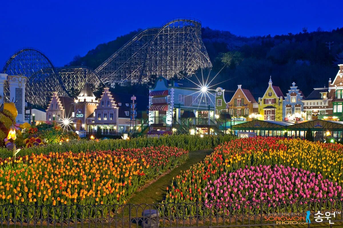 Эверленд южная корея. Сеул парк аттракционов everland. Эверленд южная корея. Парк развлечений эверленд в сеуле южная корея. Эверленд южная корея.