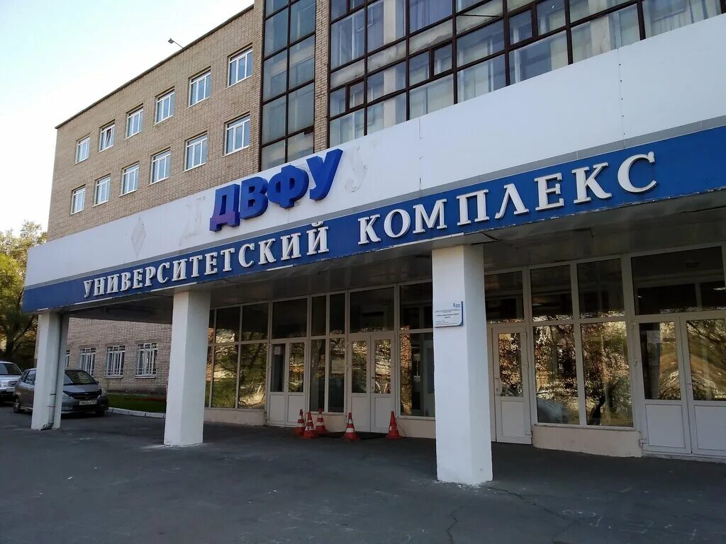 Двфу колледж владивосток после 9 класса. Колледж двфу владивосток. двфу колледж владивосток после 9. гимназия колледж двфу.