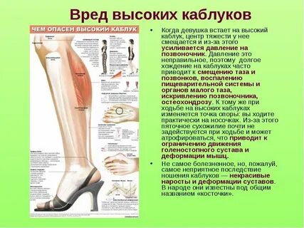 Что приводит к высокому росту