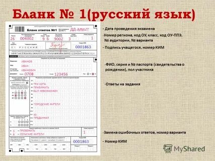 Бланк 1 м