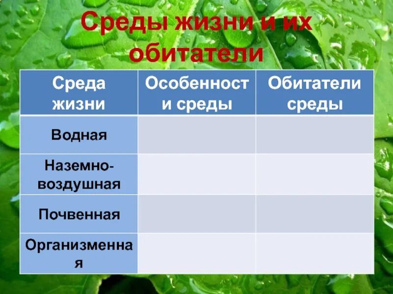 Среды жизни. Среды жизни и их обитатели. Характеристика сред жизни. Основные среды жизни.