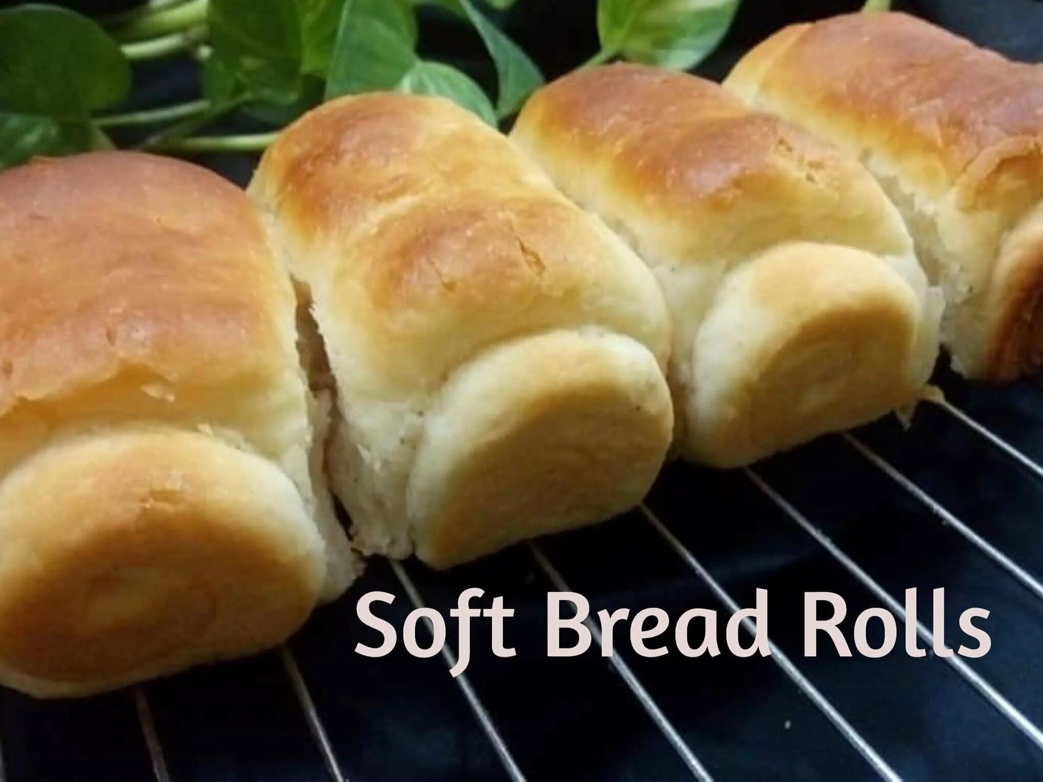 Булка андроид. Soft bread roll. bread rolls. булка топ. булка с ручкой.