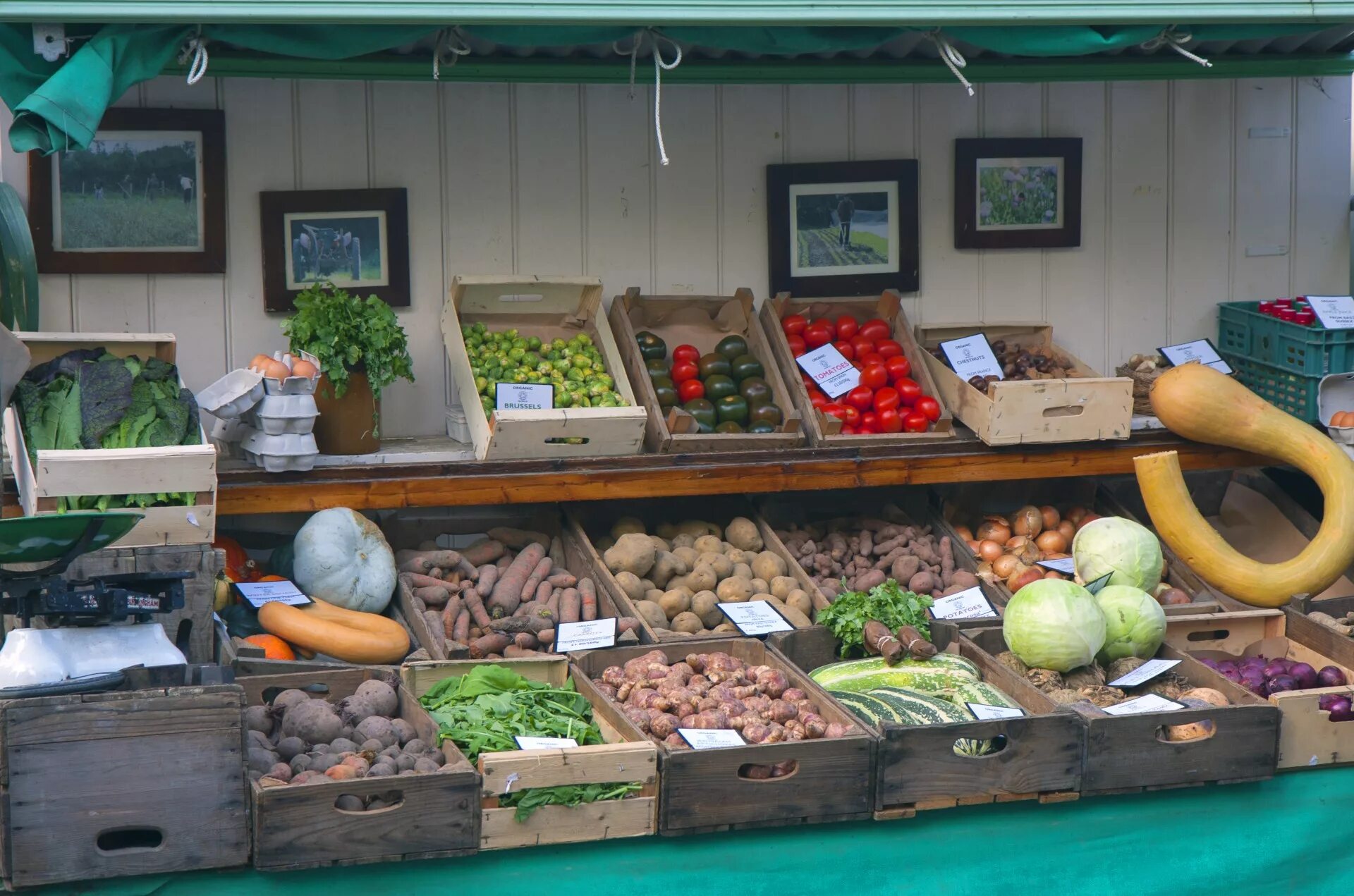 Овощи на рынке. Витрина с овощами на рынке. Прилавок с овощами и фруктами. Выкладка овощей и фруктов в ларьке. Рынок витрины