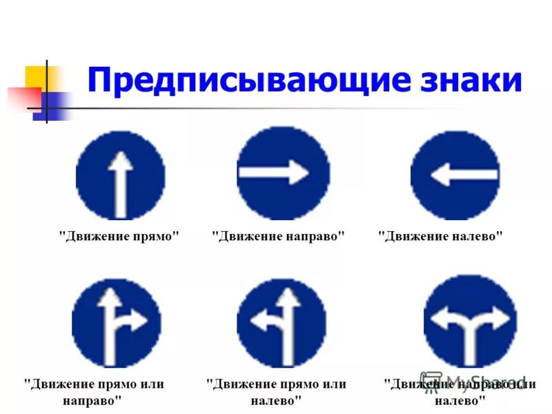 Вам разрешено движение знак налево. Знаки «движение прямо», «движение направо», «движение налево».. Дорожные знаки предписывающие. Предписывающие знаки знаки. Дорожный знак предписывает движение прямо.