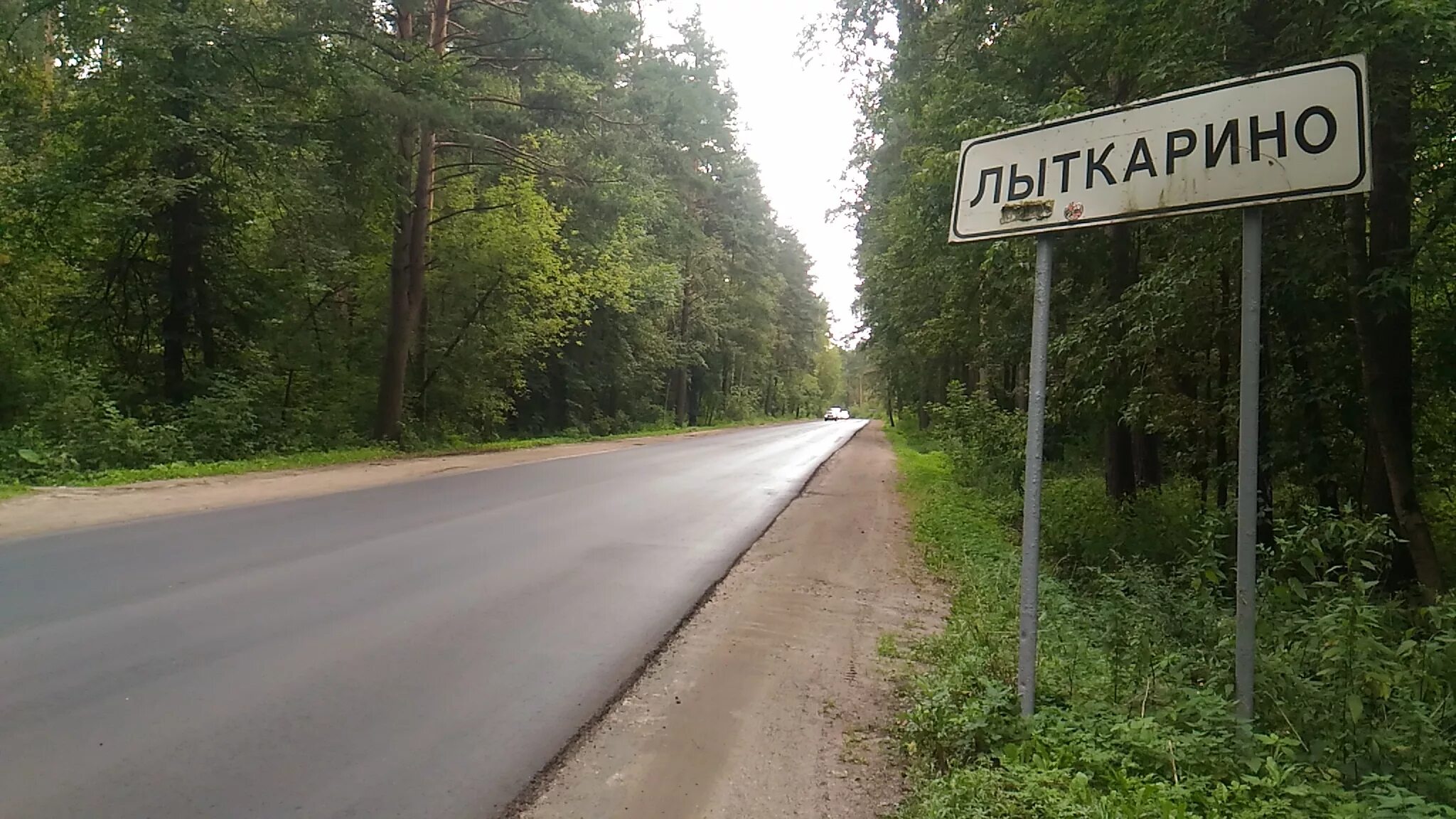 лыткарино город вечером. 7 ветров лыткарино. стелла лыткарино. центральный парк лыткарино. растения города лыткарино.