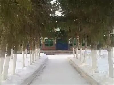 Погода в куштиряково бакалинский на 15