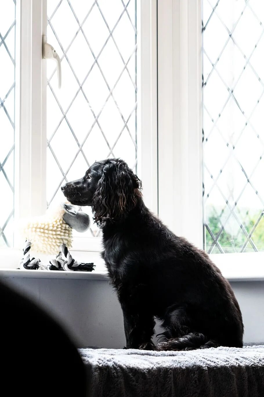 Wait window
