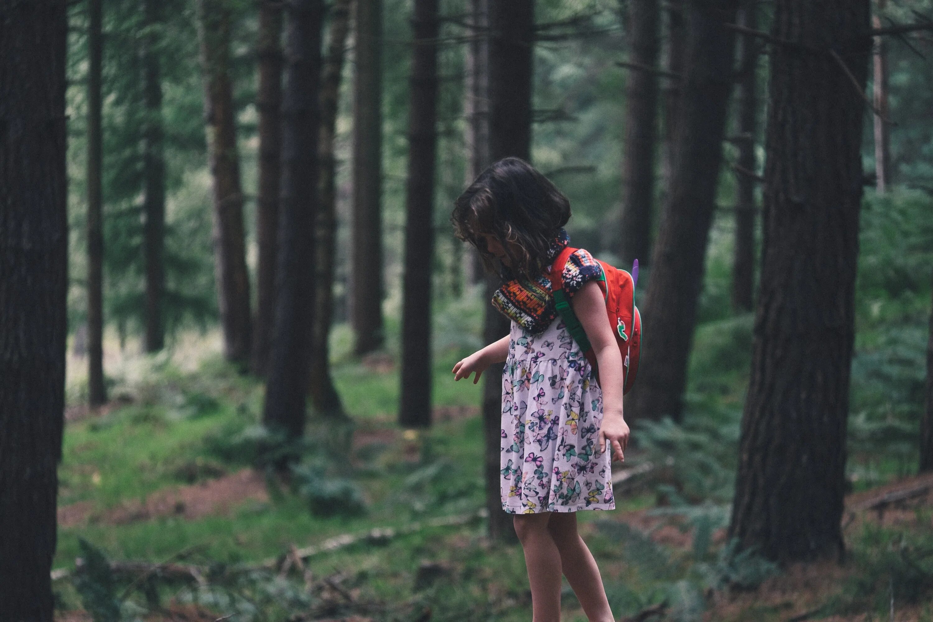 Девочка в лесу. Фотосессия в лесу. Девушка заблудилась в лесу. Девушка потерялась в лесу. Удивление в лесу