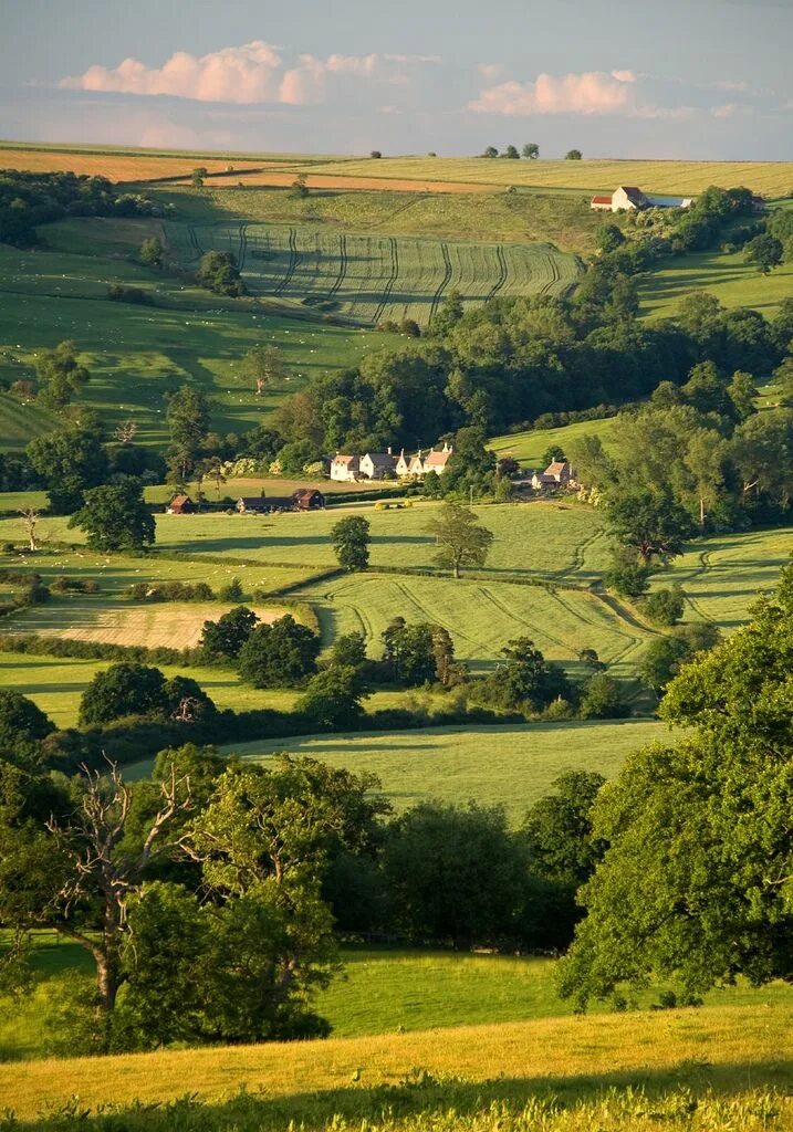 English countryside. Флодденское поле Англия. Пейзажи Англии. Поля Великобритании. Красивые пейзажи Англии.