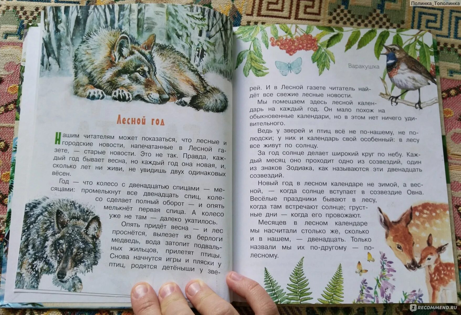 Лесная газета бианки читать. Лесной календарь читать. Лесной календарь книга сладков. Животные и растения круглый год сюзанна риха. Произведения н.