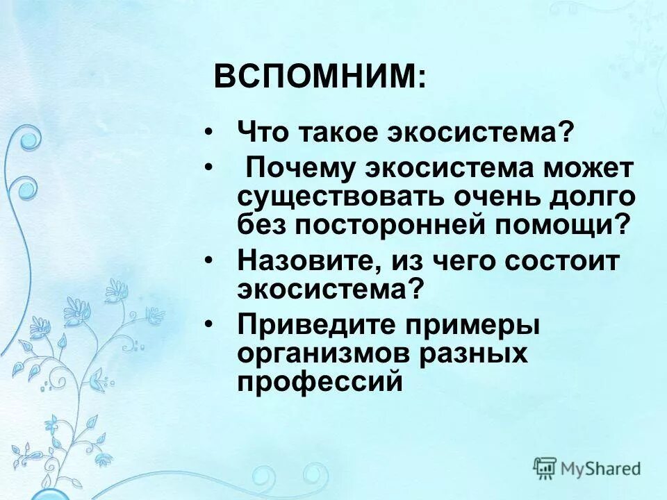 почему экосистема важна