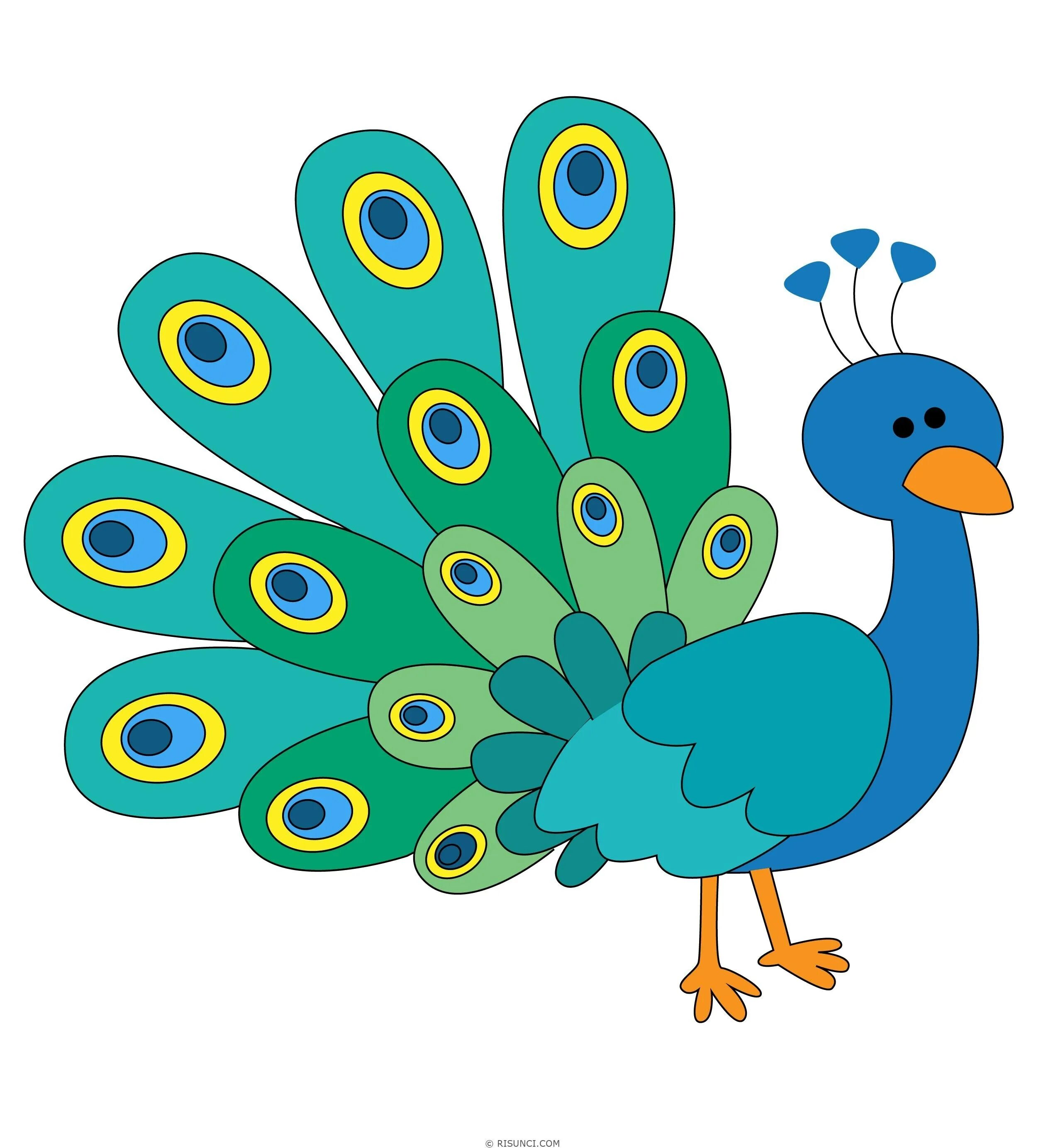 Павлин мультяшный. Павлин для детей. Павлин мультяшный. Павлин детский. Павлин.
