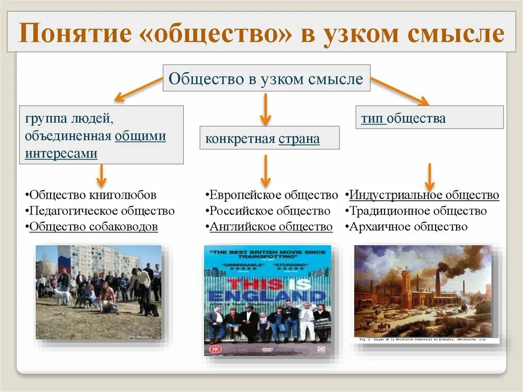 Человек общество примеры. Узкое и широкое понятие общества. Термин общество в узком смысле. Общество в устном смысле. Понятие общество в широком и узком смысле.