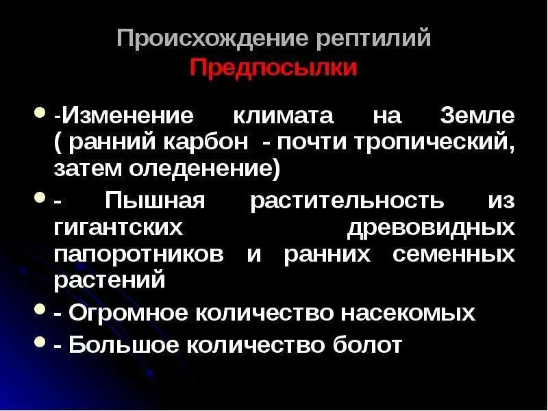 Аргументируйте вывод о происхождении рептилий. Происхождение рептилий кратко. Происхождение рептилий. Происхождение пресмыкающей.