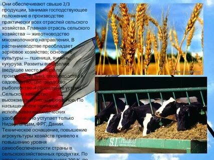 В развивающихся странах преобладает сельское хозяйство