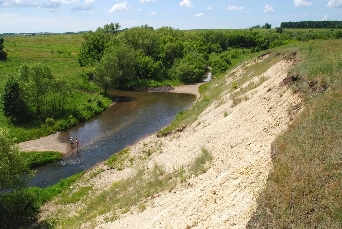 Село большая Верейка Воронежской области. Нижняя Верейка Рамонский район. Большая Верейка (река).