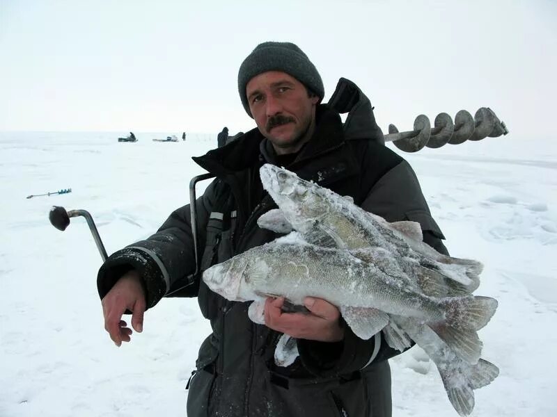 Ловля на рыбинском. Рыбинское водохранилище зимняя рыбалка. Зимняя рыбалка на Рыбинском водохранилище. Рыбалка на Рыбинском водохранилище зимой. Рыбинское водохранилище зимой.