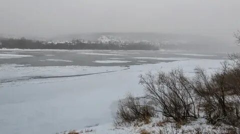 Предвестница ледостава 4 буквы